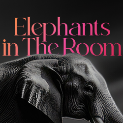 Elephants in The Room